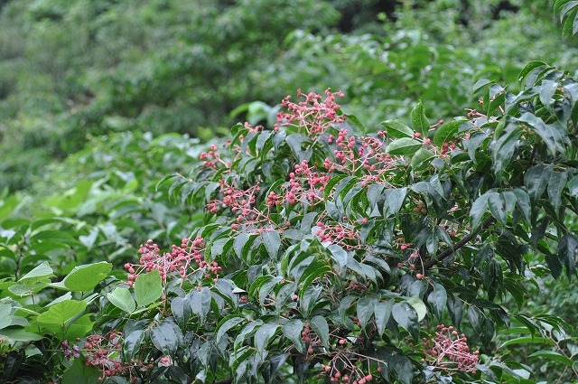 b0104861_22423980.jpg