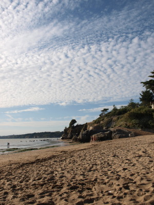 b0134961_21461022.jpg