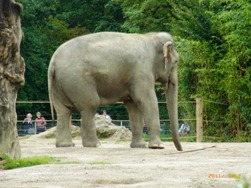 Tierpark　ミュンヘン動物園_e0195766_5571056.jpg