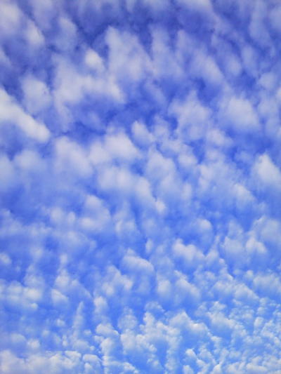 a0170472_914291.jpg