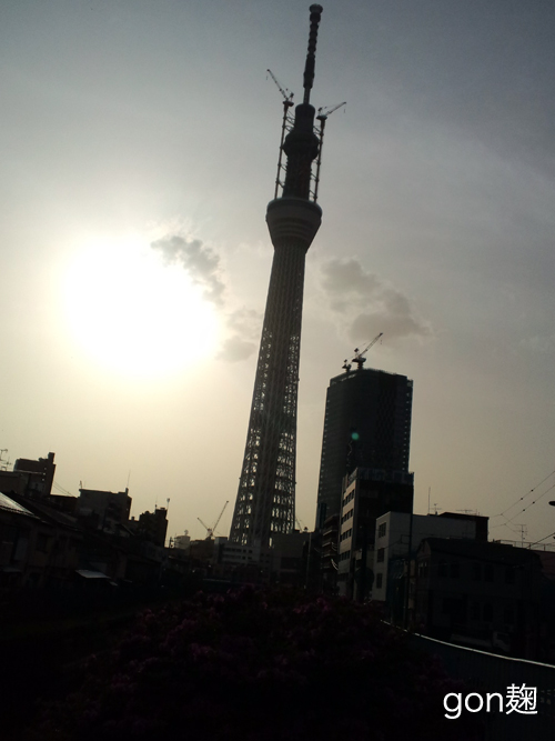 c0059278_0758.jpg