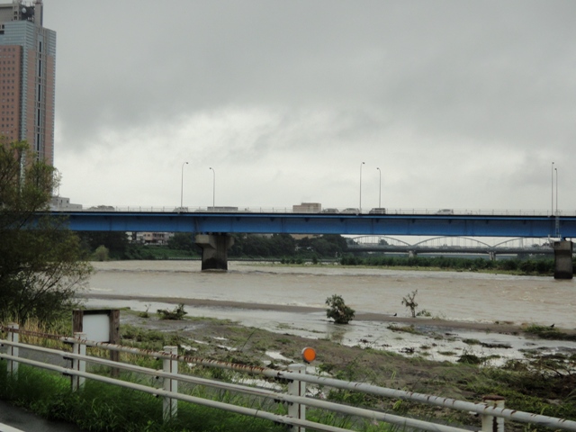 c0157482_8532077.jpg