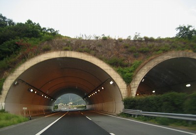 c0229483_915348.jpg
