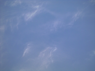 d0240983_20233069.jpg