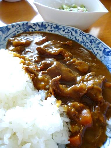 195.　W牛肉カレー_e0095183_1845084.jpg