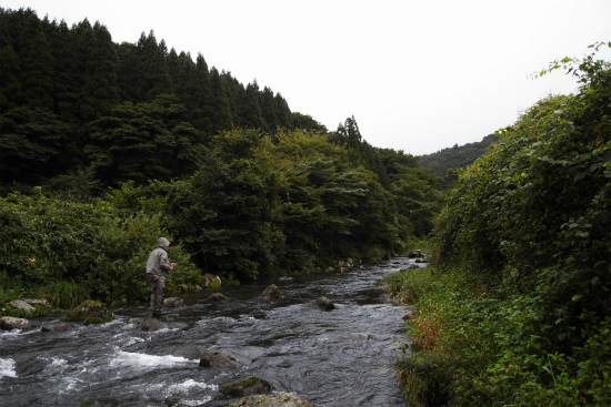 d0129886_12163366.jpg