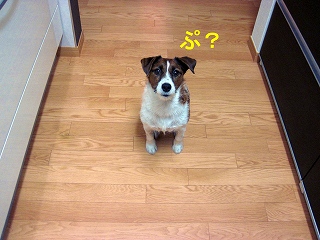 e0121589_11768.jpg