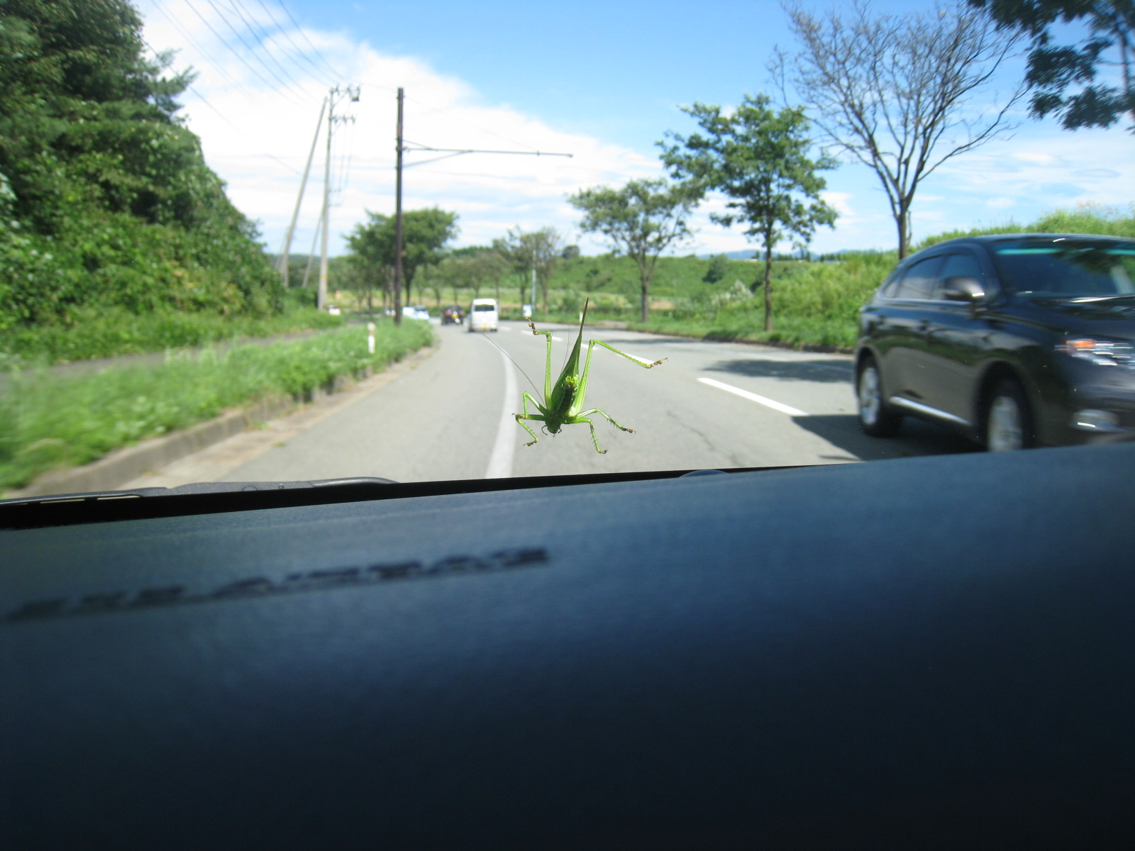 f0236391_9423786.jpg