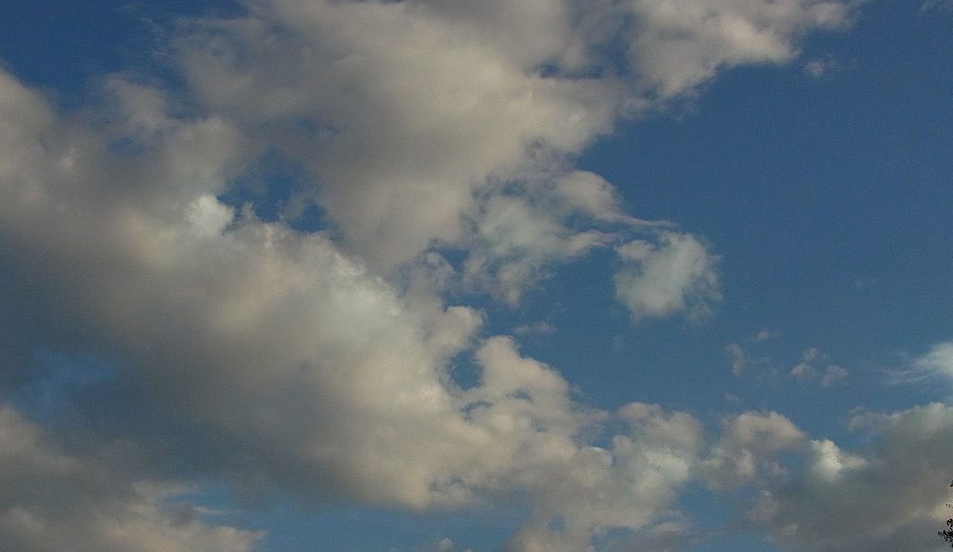 a0152692_1742359.jpg