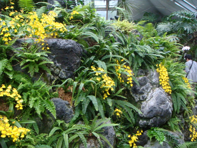 f0237893_13272949.jpg