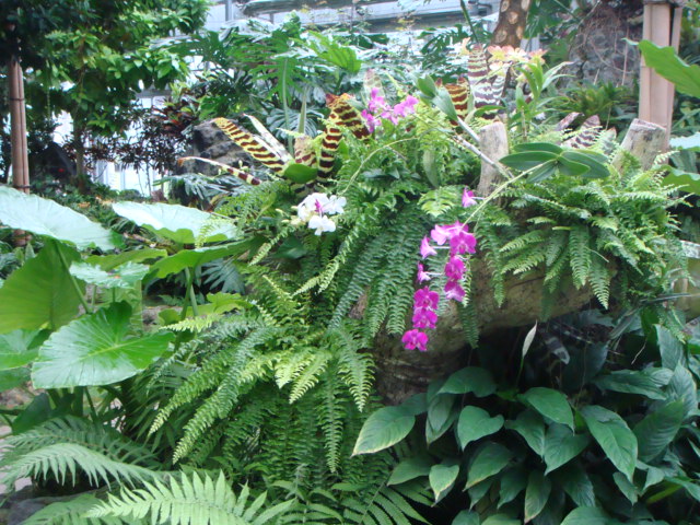 f0237893_1328153.jpg