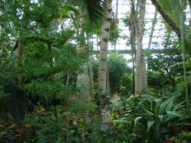 f0237893_13303794.jpg
