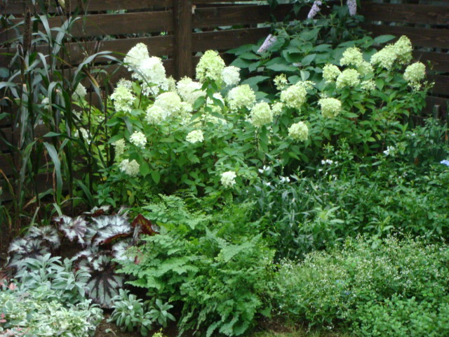 f0237893_1332093.jpg