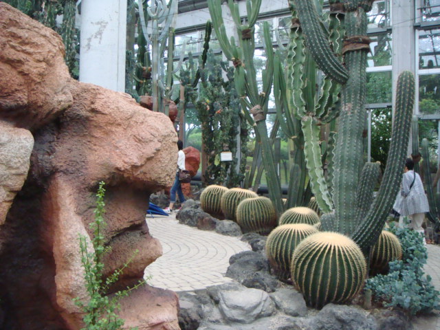 f0237893_13335522.jpg