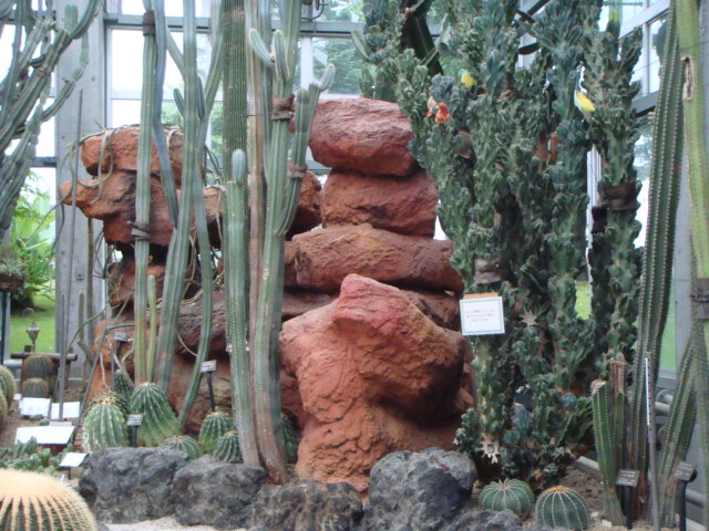 f0237893_13341931.jpg