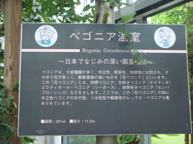 f0237893_13355052.jpg