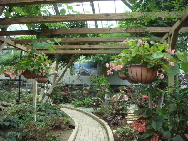f0237893_13361164.jpg