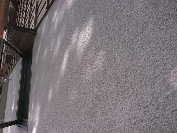 d0087595_174375.jpg