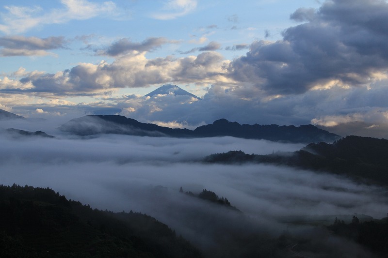 a0188405_1034145.jpg