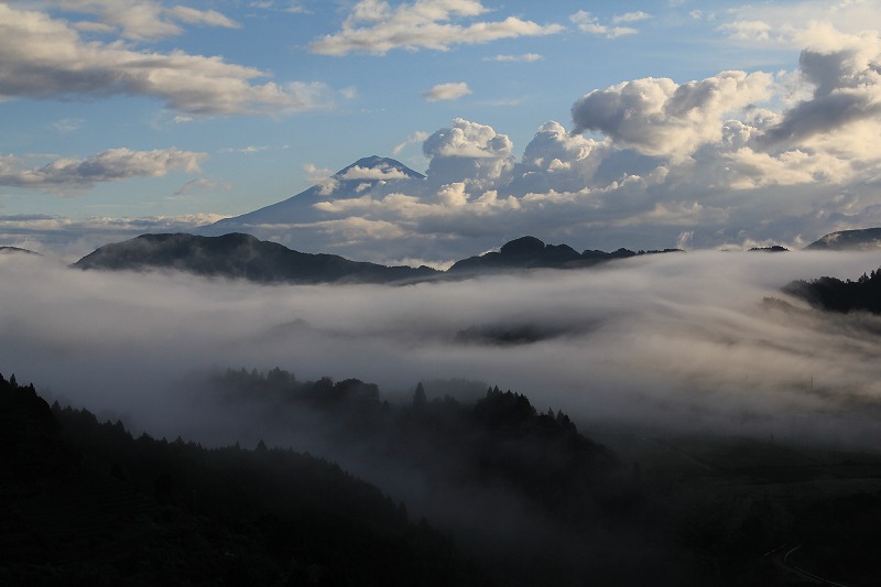 a0188405_10521.jpg