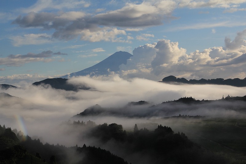 a0188405_1072540.jpg