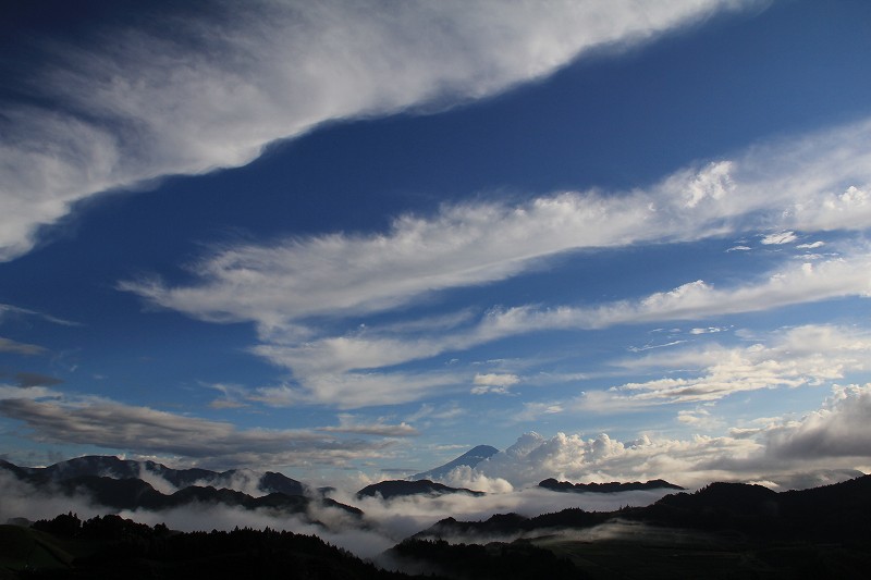 a0188405_1083066.jpg