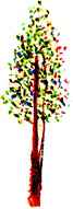 d0179006_21333796.gif
