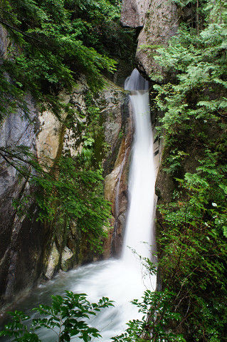 f0054610_2011486.jpg