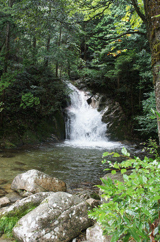 f0054610_2011497.jpg
