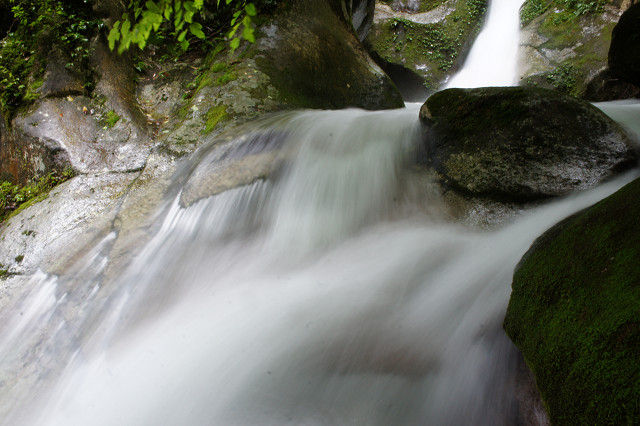 f0054610_2011501.jpg