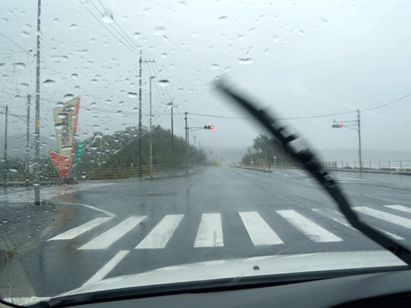 b0159611_0581168.gif