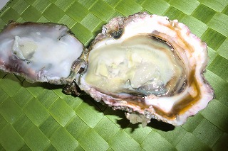 f0079111_17212742.jpg