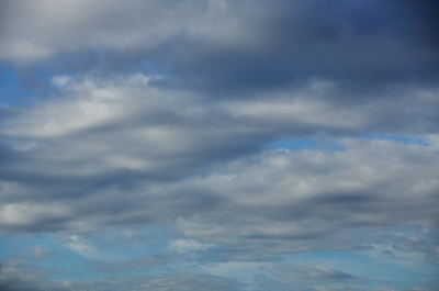 b0187019_73762.jpg