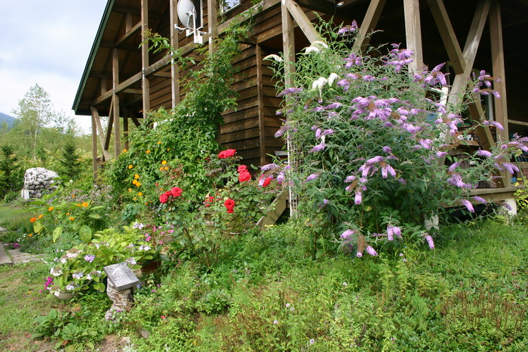 d0143719_933167.jpg