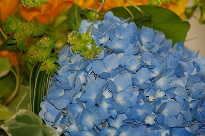 f0170524_1103850.jpg
