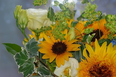 f0170524_110770.jpg