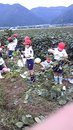 南中山小学校の枝豆収穫を行いました。_e0061225_11292636.jpg