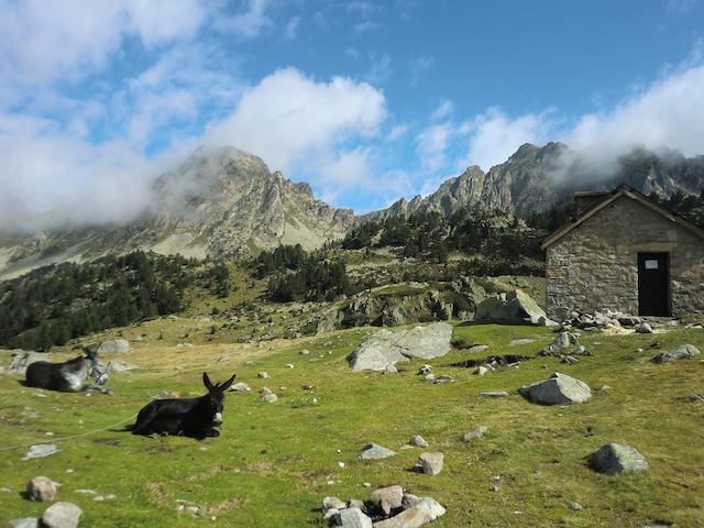 c0170236_17543868.jpg