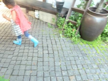☆メゾン☆_c0152341_222402.jpg