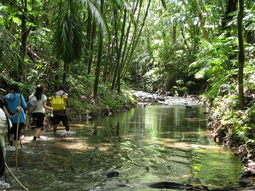 palau2010 #5 Garasumao_f0169341_2241242.jpg