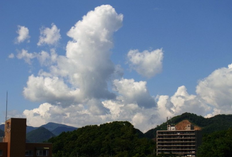 台風一過の願い_f0119643_18334581.jpg