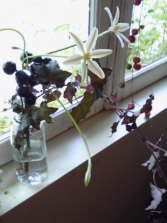 今日のblossom_a0229658_1550554.jpg