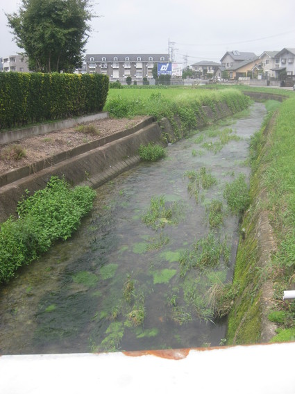 企画「大田原をもっと知ろう!」・・・その11、若松町②。_b0063162_013912.jpg