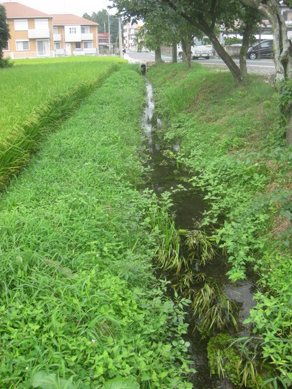 企画「大田原をもっと知ろう!」・・・その11、若松町②。_b0063162_2355597.jpg