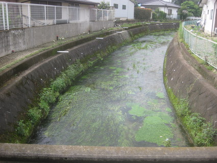 企画「大田原をもっと知ろう!」・・・その11、若松町②。_b0063162_2356143.jpg