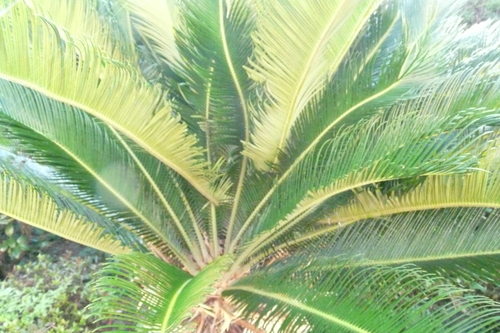 c0205169_8594612.jpg