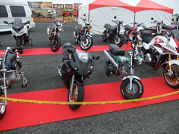 d0067477_16393172.jpg