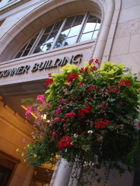 f0039281_16485655.jpg