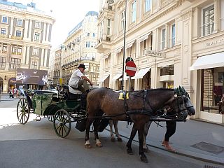 旅日記 Wien 編　旧市街_f0169885_18143035.jpg