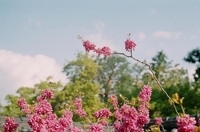 c0046587_21545751.jpg